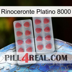 Rhino Platinum 8000 19